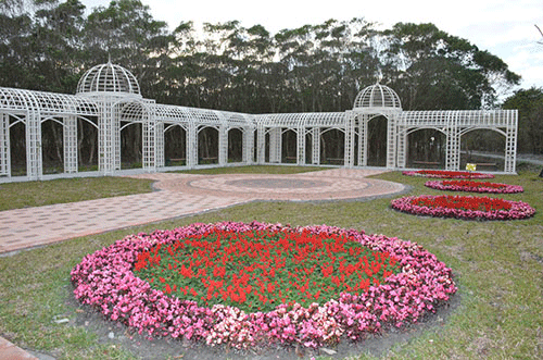 過年去哪玩2014 中部景點 花在彰化