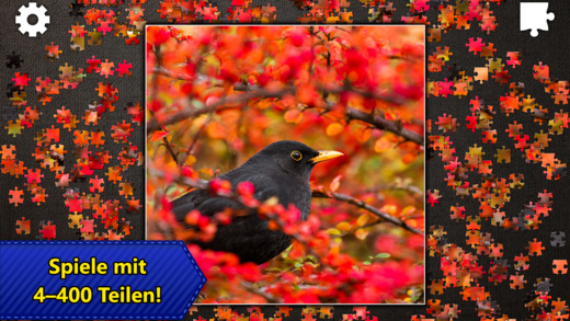 Jigsaw_Puzzles_Epic_6