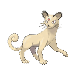 Pokémon GO 精靈圖鑑 & 港、英、日譯名對照表