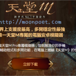 天堂M電腦版模擬器 專為天堂M量身訂做