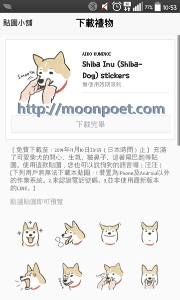 shiba_inu_1